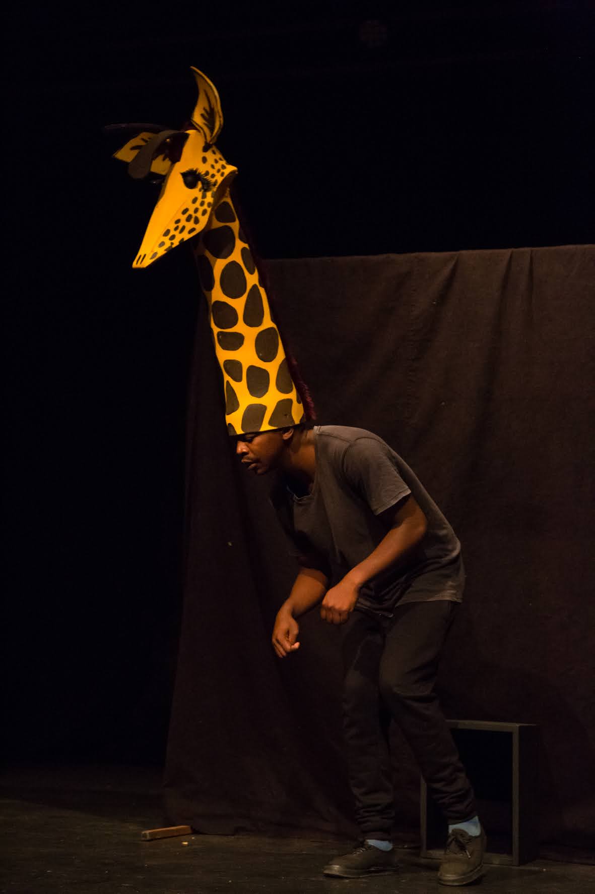 Giraffe and Sunbird